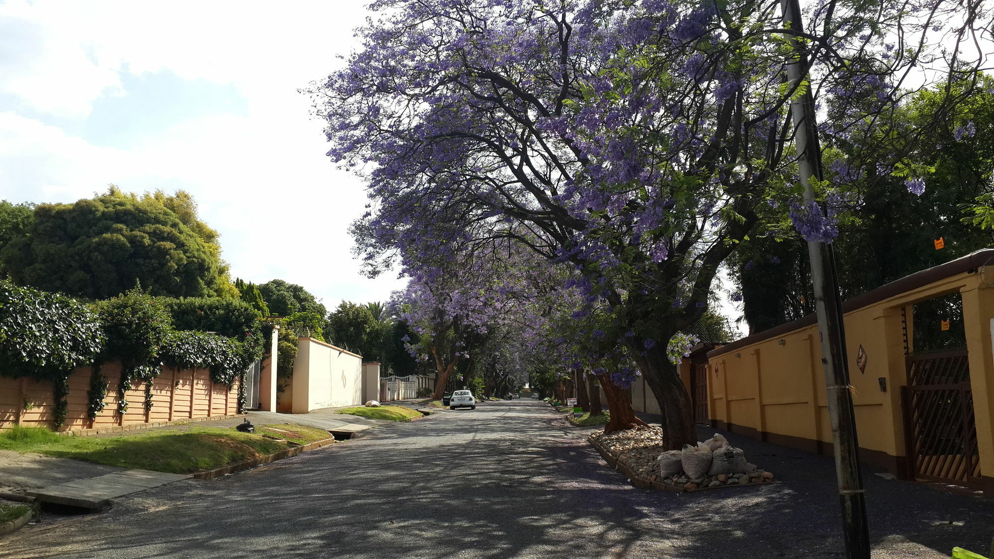 Monica'S Cottage Johannesburg Luaran gambar
